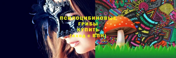 амф Богородицк