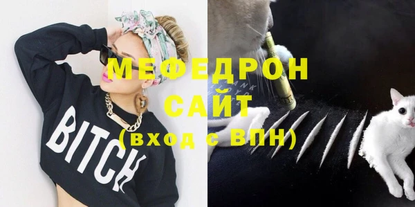 индика Богданович