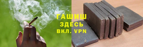 индика Богданович
