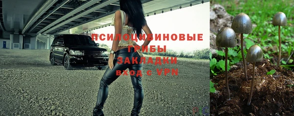 амф Бородино