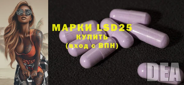индика Богданович